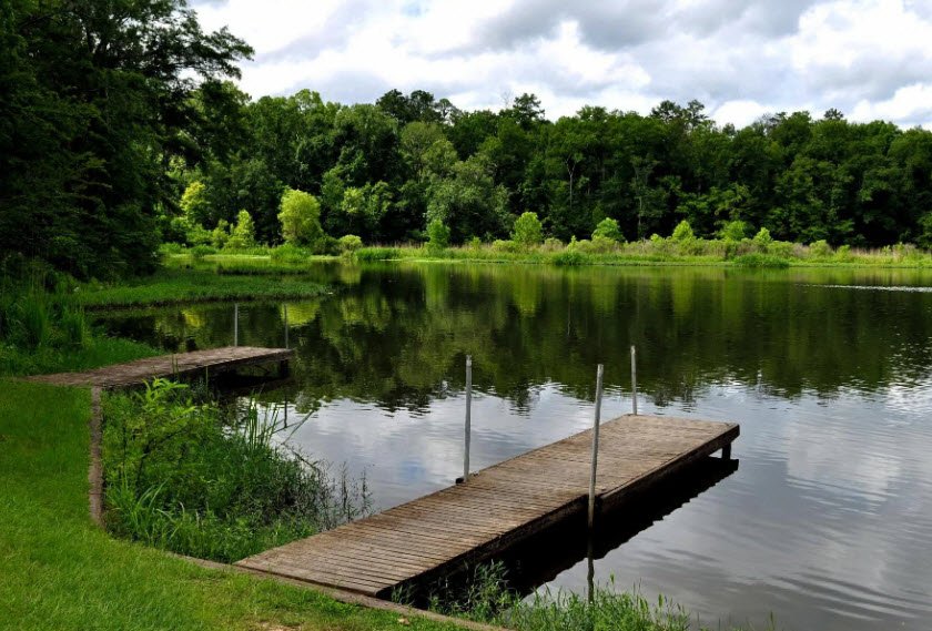 Roland Cooper State Park, Alabama, USA